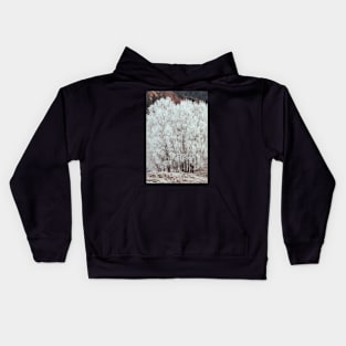 'Heavy Winter Frost on Silver Birch Trees', at Strathtummel, near Pitlochry. Kids Hoodie